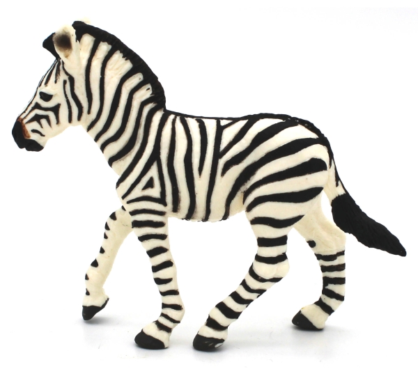 Zebra linke Seitenansicht